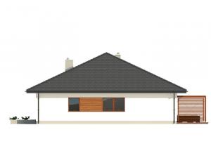 Irysek 2