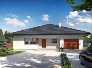 Irysek 2