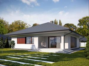 Irysek 4